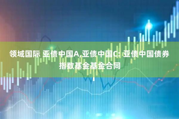领域国际 亚债中国A,亚债中国C: 亚债中国债券指数基金基金合同