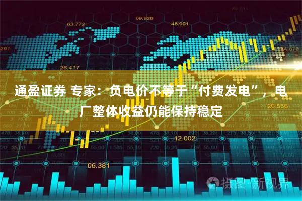 通盈证券 专家：负电价不等于“付费发电”，电厂整体收益仍能保持稳定