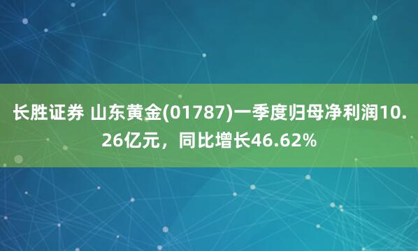 长胜证券 山东黄金(01787)一季度归母净利润10.26亿元，同比增长46.62%